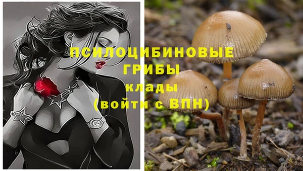 гашишное масло Карпинск