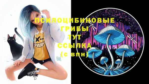 скорость Касимов