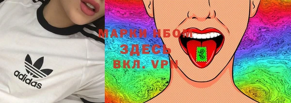гашик Карталы