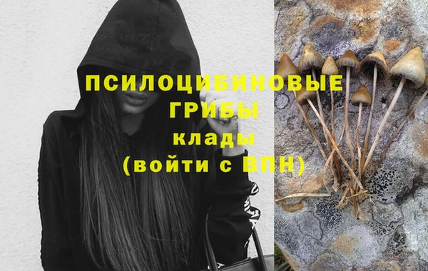 скорость Касимов