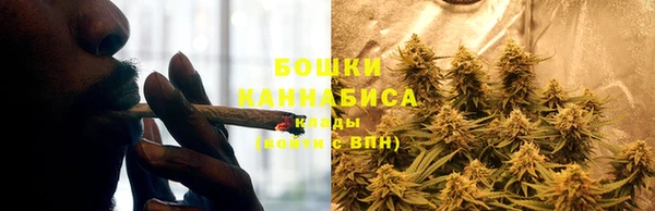 гашик Карталы