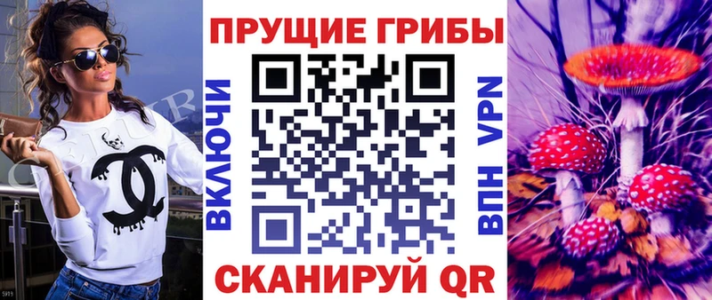 Купить  Славгород  Галлюциногенные грибы GOLDEN TEACHER 